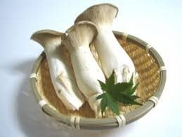 おすすめのエリンギレシピ3選