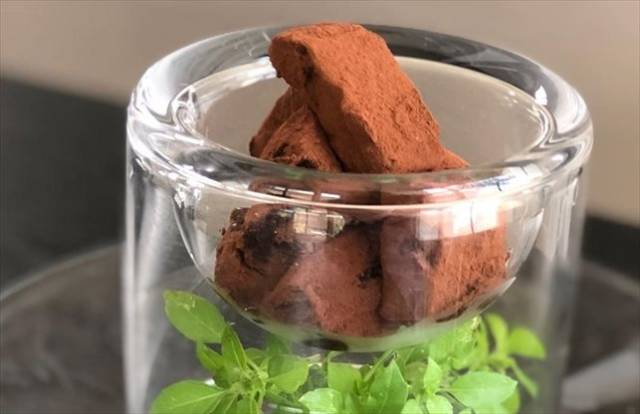 生チョコオレンジ